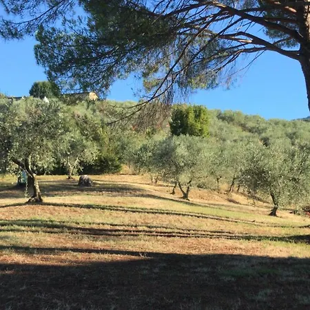 La Madonnina Frühstückspension Marlia
