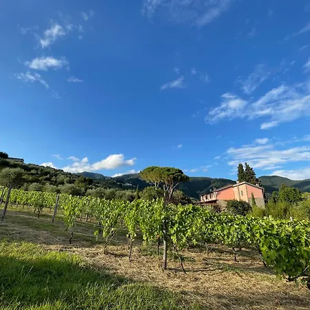 La Madonnina Marlia