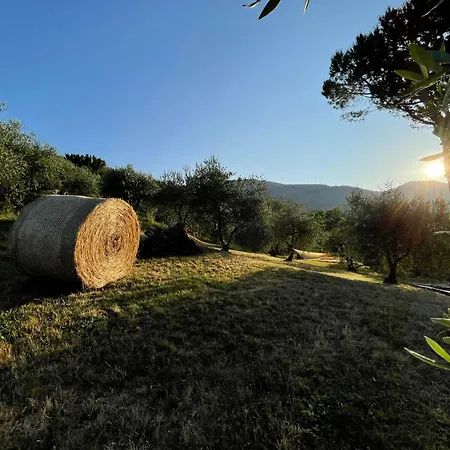 La Madonnina 3* Marlia